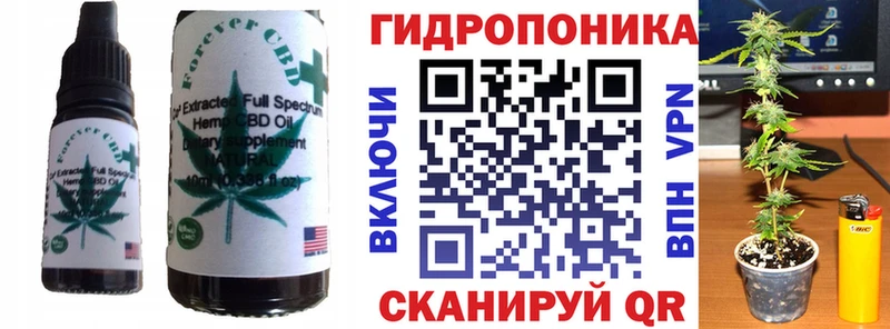цена   Чадан  Canna-Cookies конопля 
