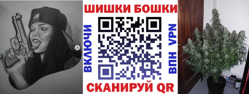 купить  цена  Чадан  Канабис ГИДРОПОН 